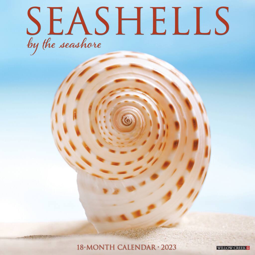 2023 Seashells Wall Calendar Michaels